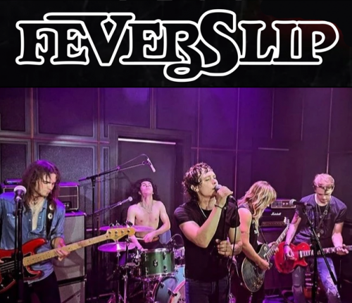 fever-slip-website-image